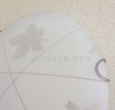 【凌志吸頂燈_臥室吸頂燈8045/2_圓形_&phi;300mm_東南亞風格_白底帶圖案玻璃】_價格報價_實拍圖片_參數-好住網